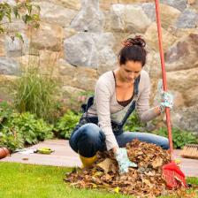 travaux automne jardin jardinage