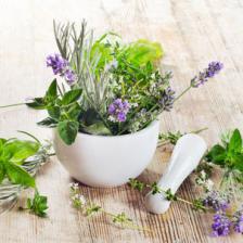 migraine et plantes