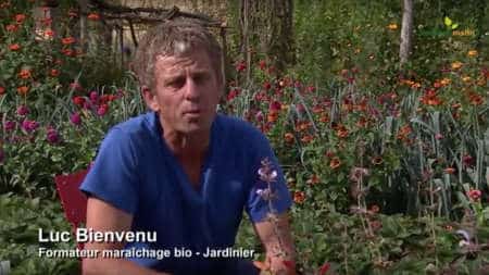maraichage-bio - Le potager diversifié (en vidéo)