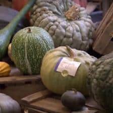 potager du roi