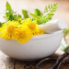 Treating kidney stone with plants