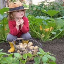 Potager-enfants