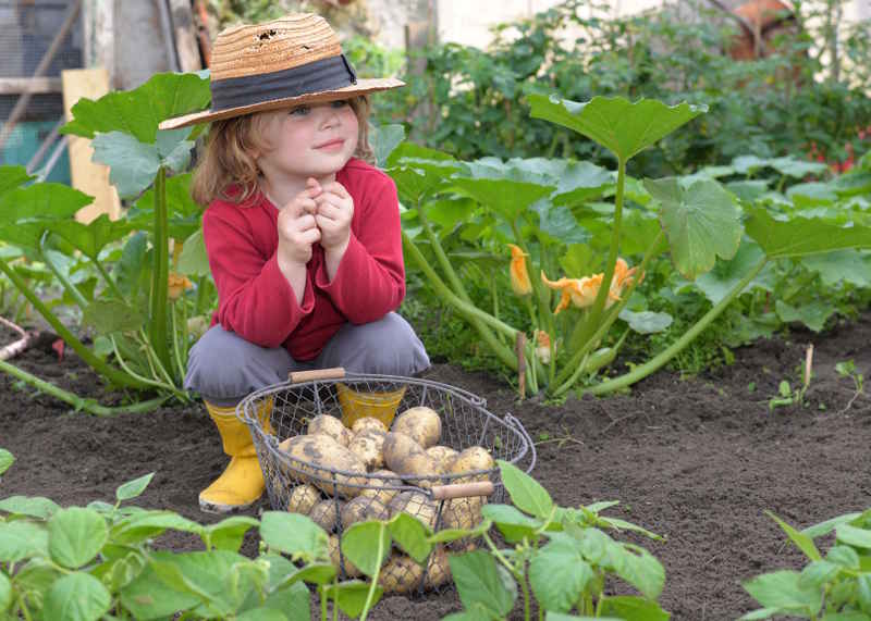 Potager-enfants - Jardinez avec vos enfants