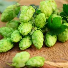 houblon