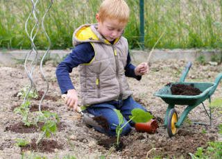 jardinage enfants conseil