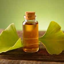 Ginkgo biloba