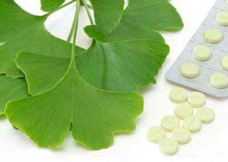 ginkgo biloba sante bienfaits vertu