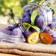prune