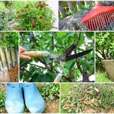 rentree jardin