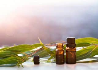 toux - Soigner la toux par les plantes
