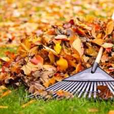 travaux jardinage avant hiver
