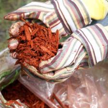 Protect your garden from the cold