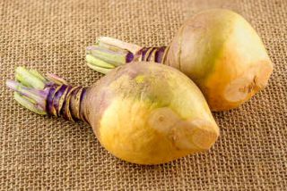 rutabaga bienfaits vertu