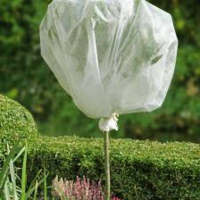 hivernage plantes