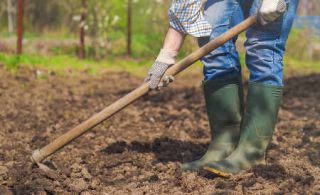 jardinage-bio - Cet automne, perfectionnez-vous en jardinage écolo