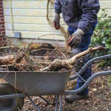 travaux jardin hiver