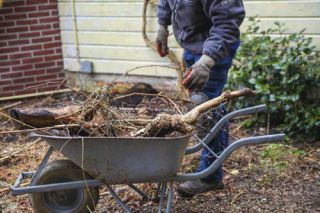 travaux jardin hiver