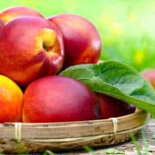 nectarine