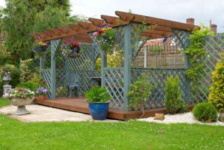 plante grimpante pergola