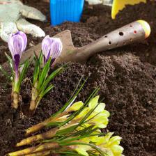 Soil mix, use, relevance and how to choose it