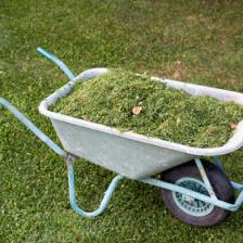 herbe tonte compost