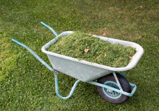 herbe tonte compost