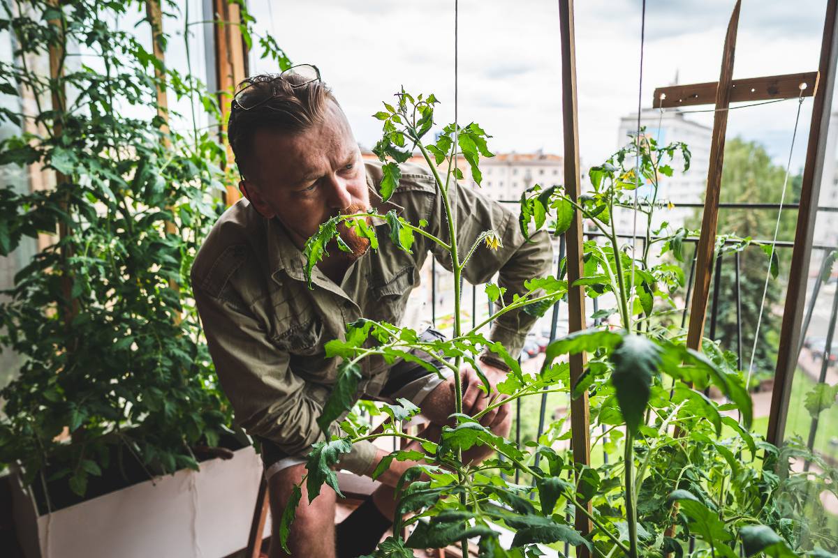 potager balcon