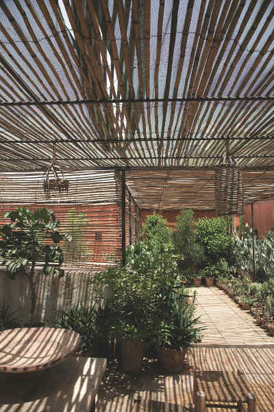 Vislone Pergola Plante Grimpante en Bois pour Jardin 200 x 200 x 195 cm Marron