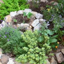 permaculture biodiversite autonomie