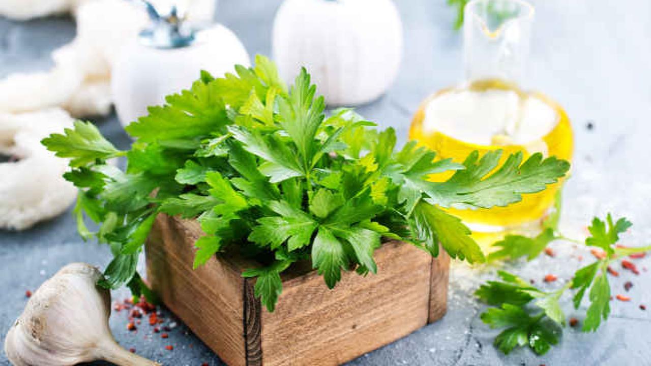 Parsley: multiple health benefits and virtues