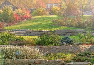 jardin en pente plantes