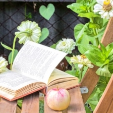 conseils jardinage