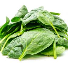 Spinach, all the tips on how to grow it