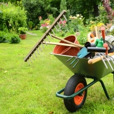 jardinage par saison