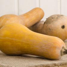 Growing butternut gourd
