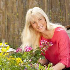menopause plantes