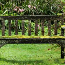 mousse pelouse gazon jardin supprimer