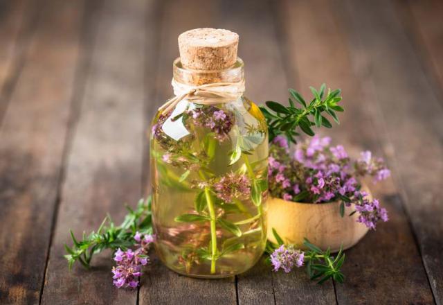 Thym : le cultiver et l'utiliser en cuisine