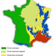 Regional planting calendar to maximize your vegetable patch – MetroFrance Edition