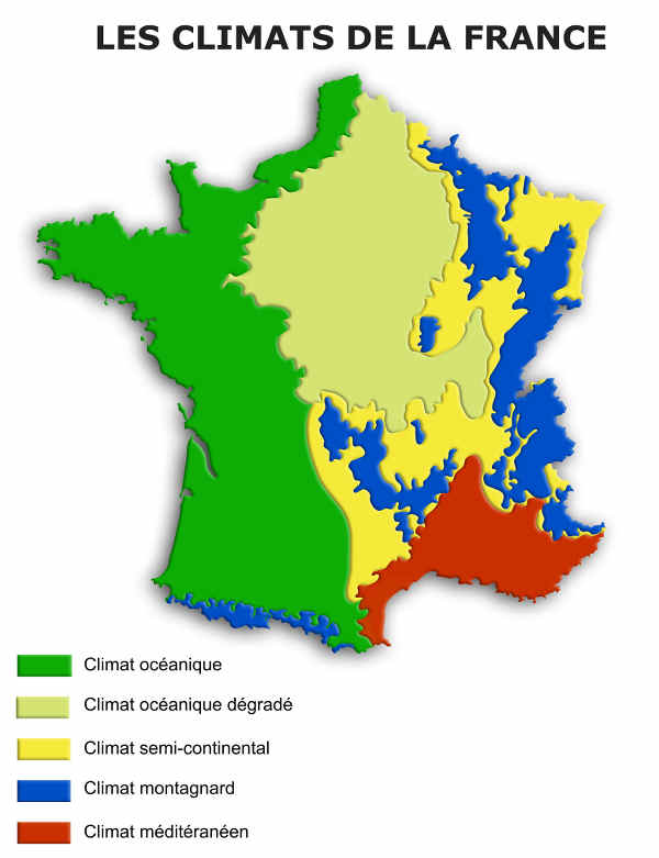 calendrier-plantation region