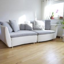 Palmier interieur