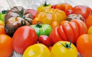 tomate varietes