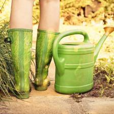 urine jardin engrais