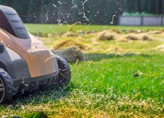 comment et quand bien scarifier pelouse