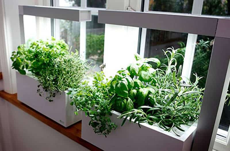 Potager Intérieur Hydroponique 10 Pots Avec Lampe LED - Hauteur Réglable 20-40 Cm, Arrosage Automatique