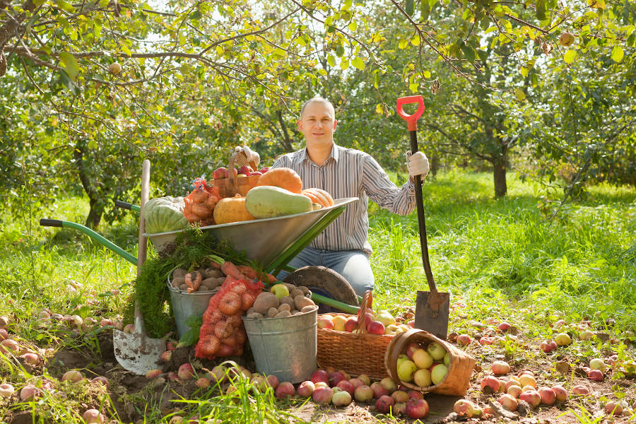 memo travaux automne jardin potager verger