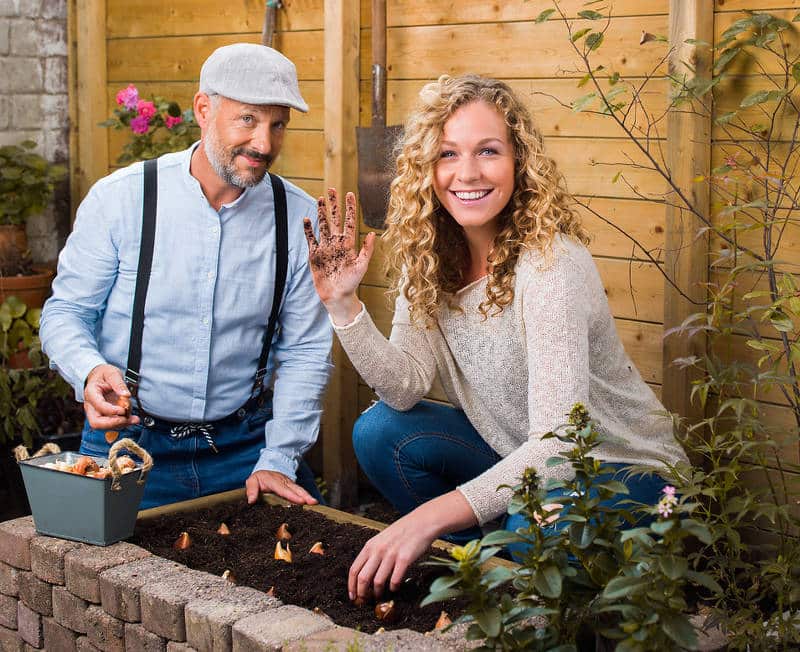 Plantation des bulbes : bien les planter