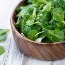 variete salade saison