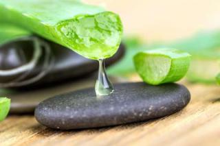 aloe vera cosmetique peau