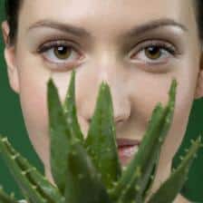 aloe vera visage